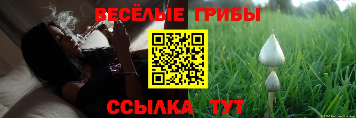 Галлюциногенные грибы GOLDEN TEACHER  Вход с VPN  купить   Волжск 